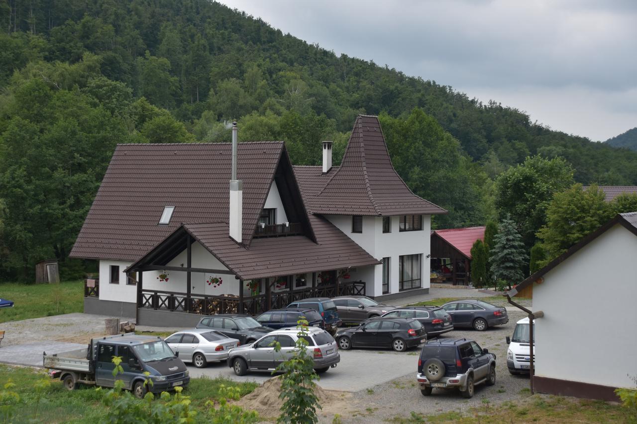 Pensiunea Steaua Nordului Vanatori  Exteriör bild